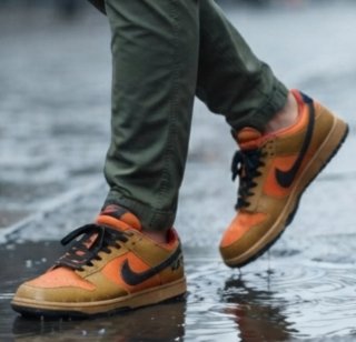 Zapatillas Nike Dunk Low GORE-TEX Wheat Cerámica.