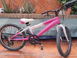 Bicicleta Infantil 20 pulagas