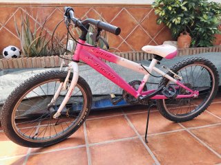 Bicicleta Infantil 20 pulagas
