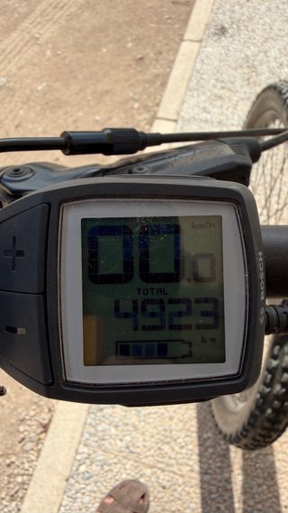 Ebike Focus Sam2 6.8 GX