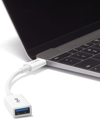 Amazon Basics Cable Adaptador convertidor Hembra de USB-C a USB-A 3.1, 1.ª Gen