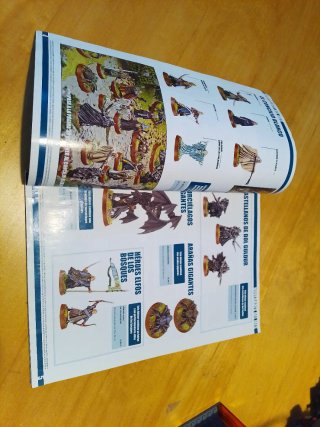 White dwarf 133 mayo