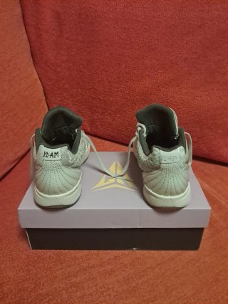 Zapatillas Nike JA 2 XMAS Grises Doradas