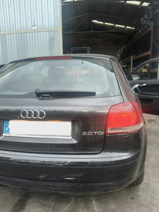Despiece Audi A3 2.0 TDI 140cv BKD