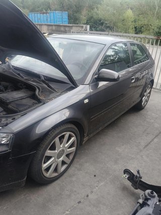 Despiece Audi A3 2.0 TDI 140cv BKD
