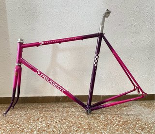Cuadro Peugeot Professionel 700