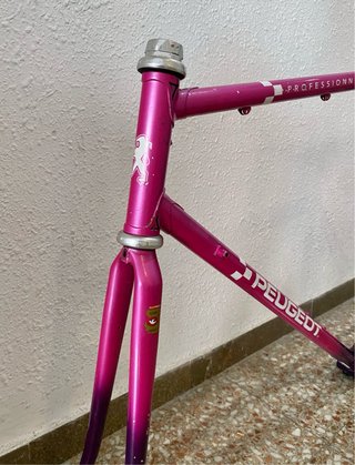 Cuadro Peugeot Professionel 700