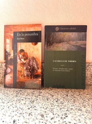 Lote de libros de literatura infantil, y clásicos