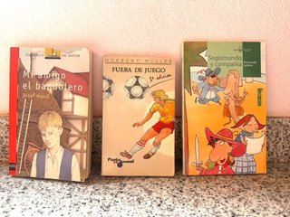 Lote de libros de literatura infantil, y clásicos