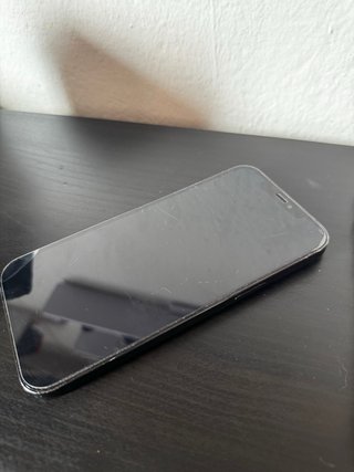 iPhone 12 Pro Max 256 GB 100%