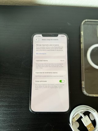 iPhone 12 Pro Max 256 GB 100%