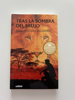 Tras la sombra del brujo – Francisco Díaz Valladar