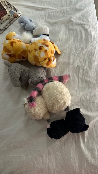 Pack 8 Peluches Ty