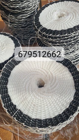 Mini almazara doméstica