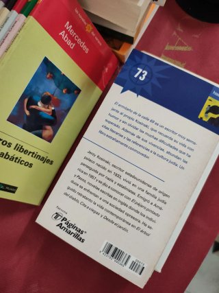 Las novelas del verano