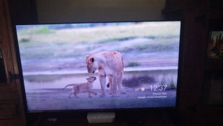 Televisor TCL 50 50C722