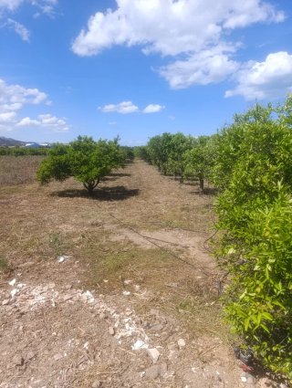 Terreno ,agua y acceso coche, Font d'en Carros