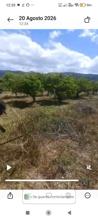 Terreno ,agua y acceso coche, Font d'en Carros