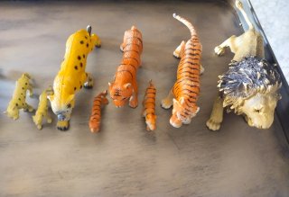 15 Animales de la Selva Juguete
