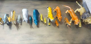15 Animales de la Selva Juguete