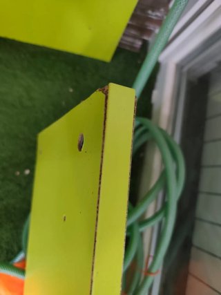 Litera de madera y plástico verde