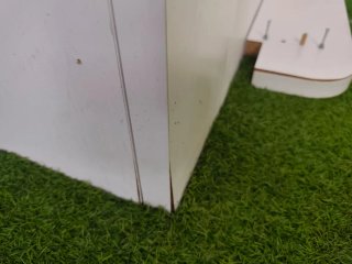 Litera de madera y plástico verde