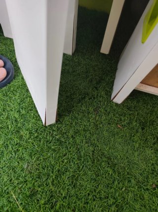 Litera de madera y plástico verde