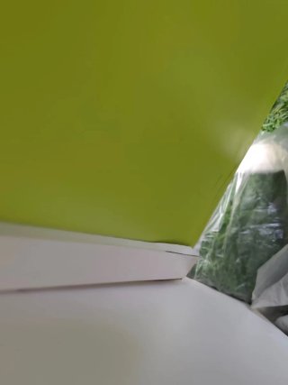 Litera de madera y plástico verde