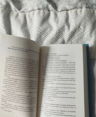 El problema final. Arturo Pérez Reverte