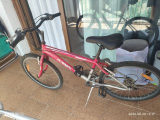 Bicicleta 24 RAVE