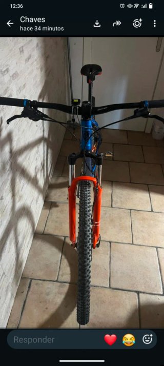 Bicicleta de Montaña Trek Verde
