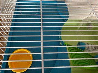 Jaula Hamster 2 Plantas
