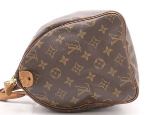 Louis Vuitton Speedy 30 Monogram
