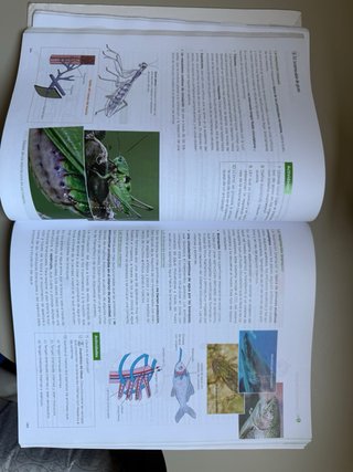 Libro de biologia y geologia 1º bachillero