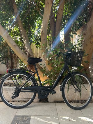 Bicicleta de paseo