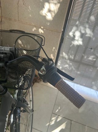 Bicicleta de paseo