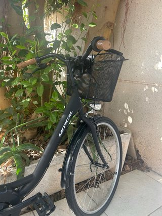 Bicicleta de paseo