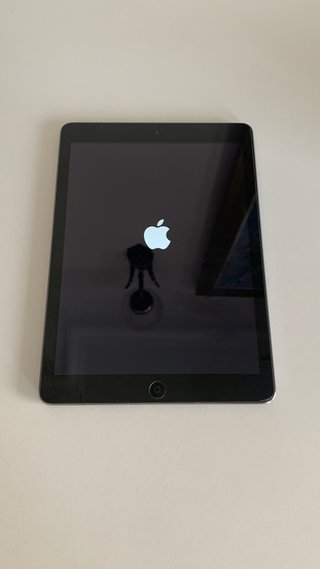iPad Air Plata 1ª Gen