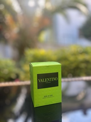 Valentino Donna Born In Roma Green Stravaganza