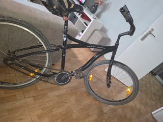 Bicicleta Earth Cruiser