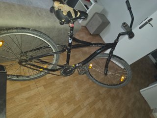 Bicicleta Earth Cruiser