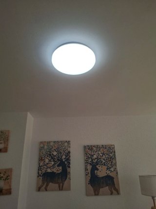 Plafón LED Techo 60W Regulable 34cm + Mando