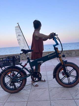 Bicicleta Eléctrica Fiido M1 Pro Plegable. 2026