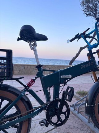 Bicicleta Eléctrica Fiido M1 Pro Plegable. 2026