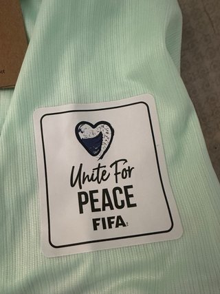 Camisetas Francia Nike (Azul y Verde)