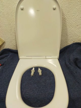 Tapa de WC blanca