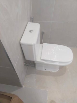 Tapa de WC blanca