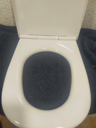 Tapa de WC blanca