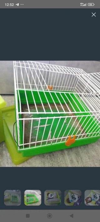 GANGA Jaula y accesorios para hámster cobaya conej