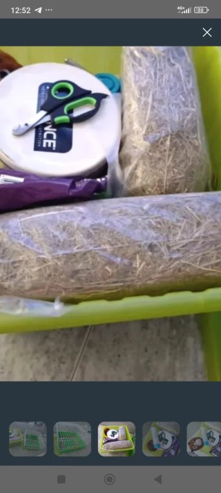 GANGA Jaula y accesorios para hámster cobaya conej
